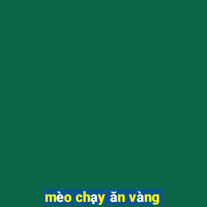 mèo chạy ăn vàng