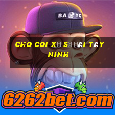 cho coi xổ số đài tây ninh