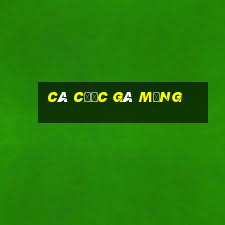 cá cược gà mạng