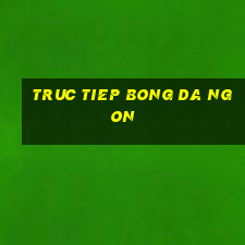 truc tiep bong da ngon