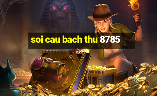 soi cau bach thu 8785