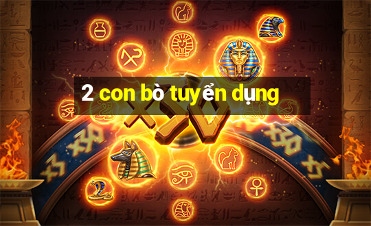 2 con bò tuyển dụng