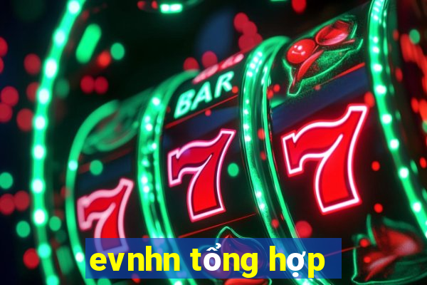 evnhn tổng hợp