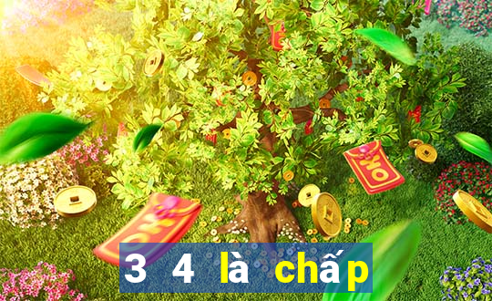 3 4 là chấp bao nhiêu