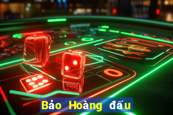 Bảo Hoàng đấu với địa chủ