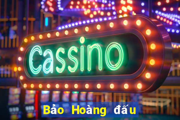 Bảo Hoàng đấu với địa chủ