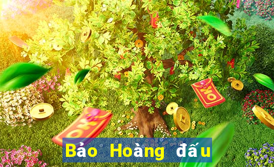 Bảo Hoàng đấu với địa chủ