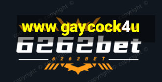 www gaycock4u