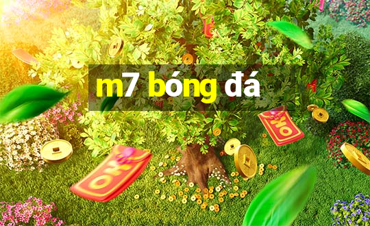 m7 bóng đá