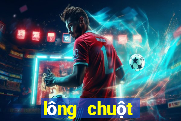 lông chuột hamster bị bết