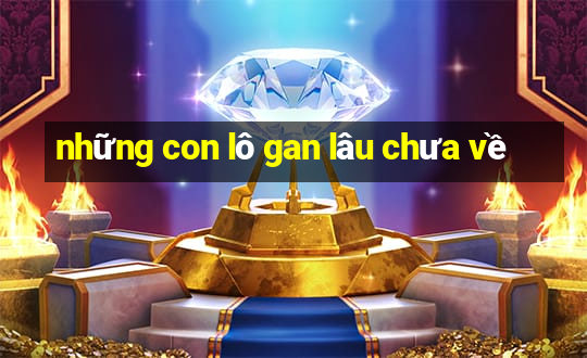 những con lô gan lâu chưa về