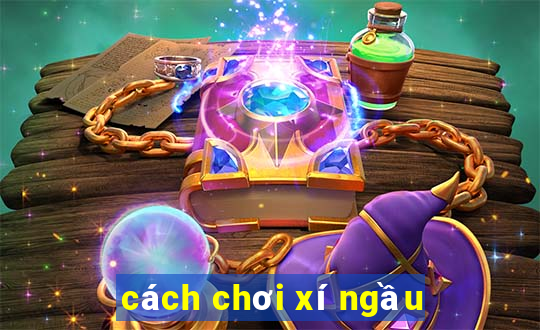 cách chơi xí ngầu