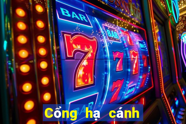 Cổng hạ cánh giải trí Bocat