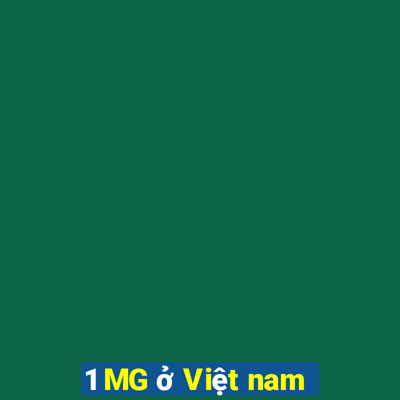 1 MG ở Việt nam