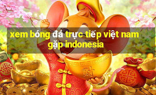 xem bóng đá trực tiếp việt nam gặp indonesia