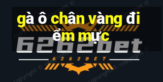 gà ô chân vàng điểm mực