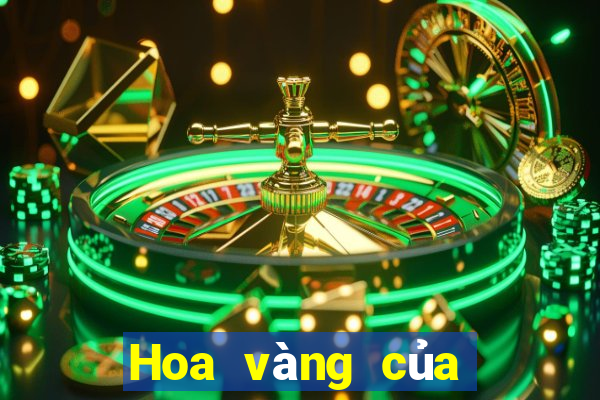 Hoa vàng của báo hoa mai