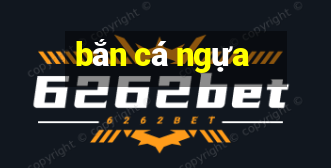 ban ca ngua