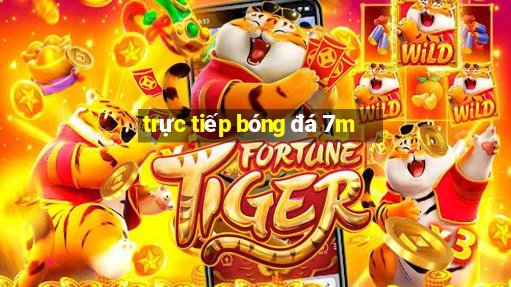 trực tiếp bóng đá 7m