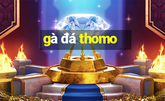 gà đá thomo