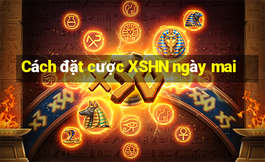 Cách đặt cược XSHN ngày mai