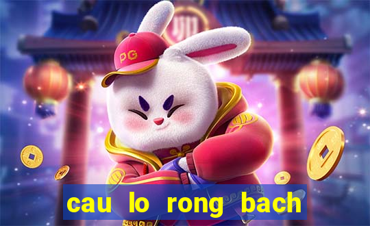 cau lo rong bach kim ngay hom nay