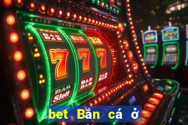 bet Bắn cá ở Việt nam