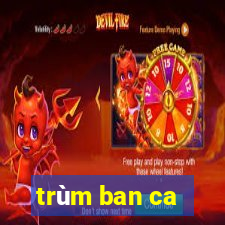 trùm ban ca