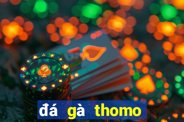 đá gà thomo mới nhất hôm nay