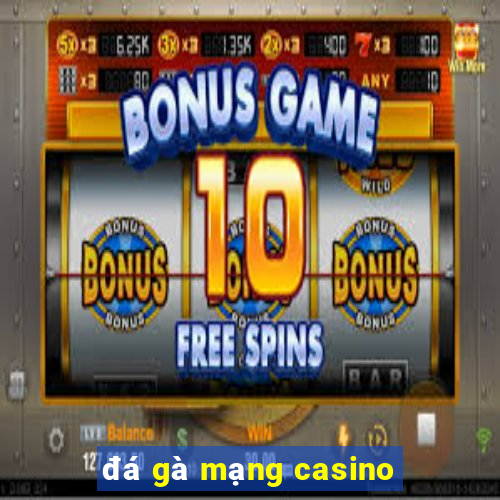 đá gà mạng casino