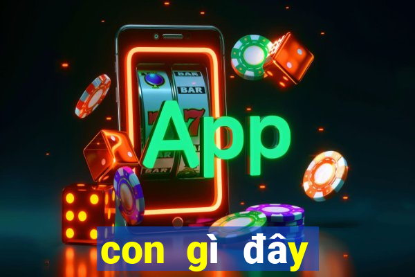 con gì đây mới nhất