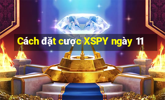 Cách đặt cược XSPY ngày 11