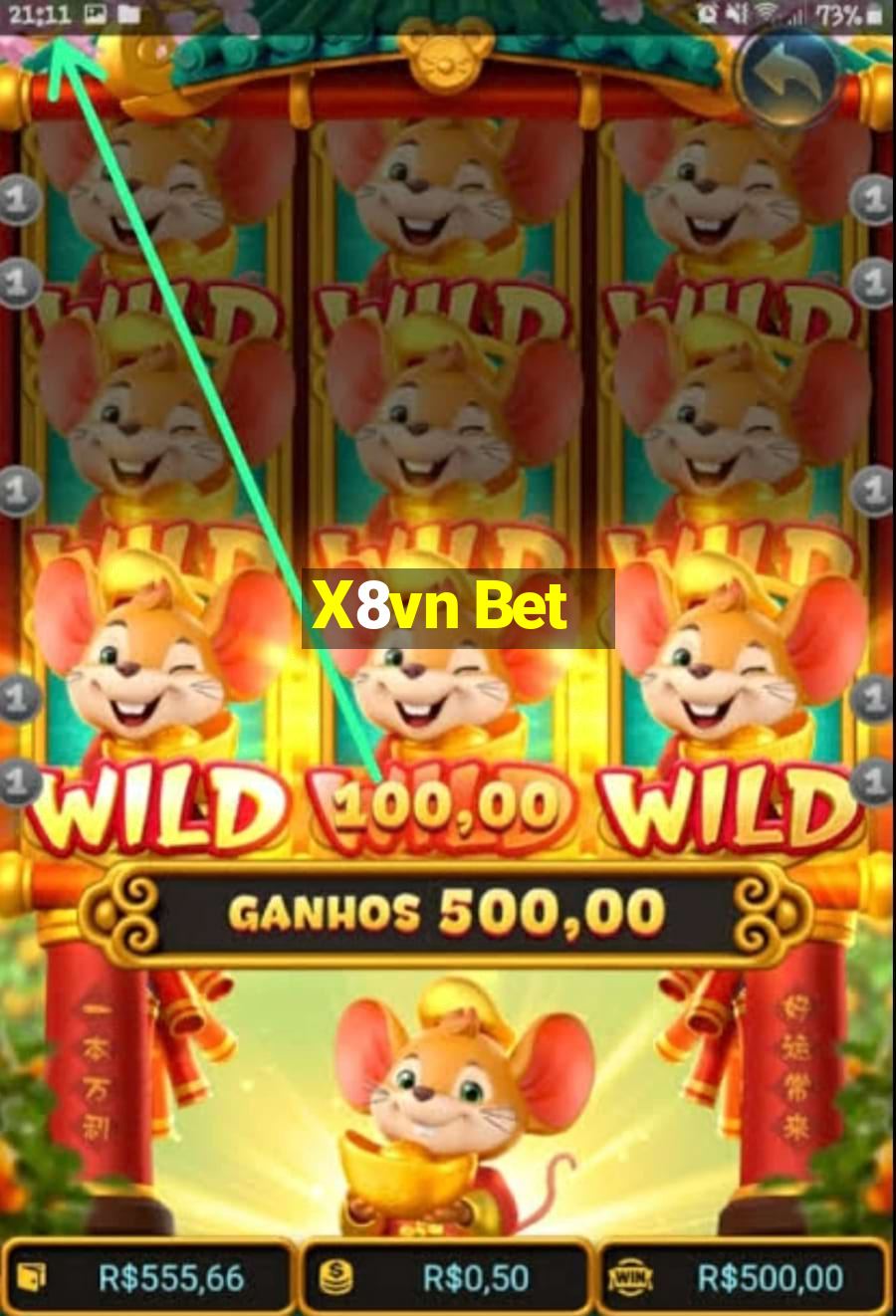 X8vn Bet