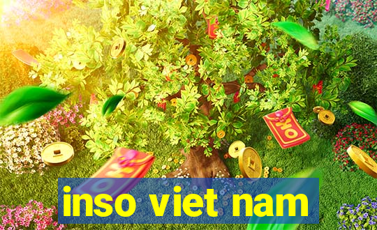 inso viet nam