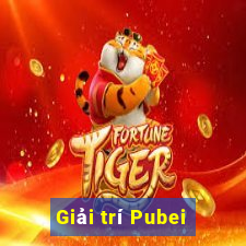 Giải trí Pubei