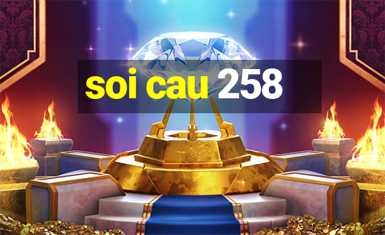 soi cau 258