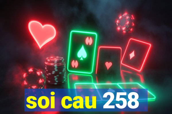 soi cau 258