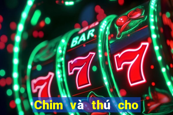 Chim và thú cho 188 mặt