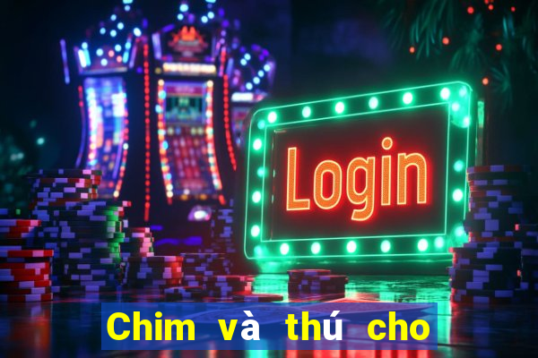 Chim và thú cho 188 mặt