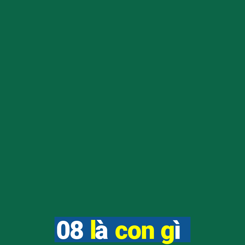 08 là con gì