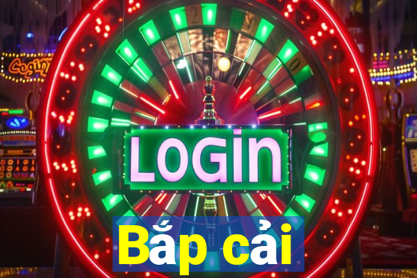 Bắp cải