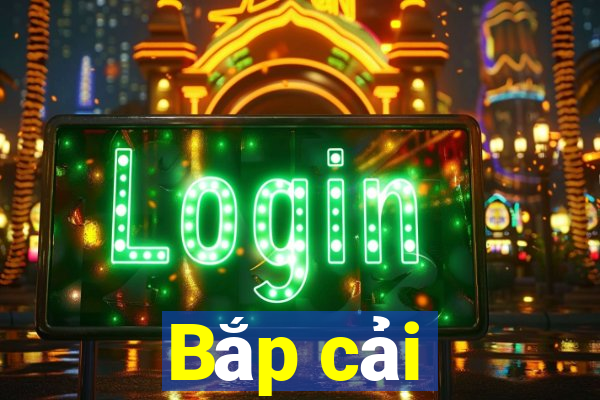 Bắp cải