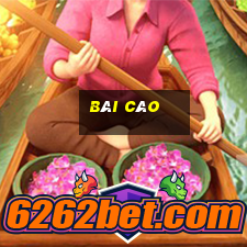 bài cào