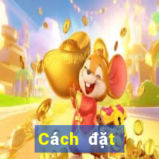 Cách đặt cược XSMN ngày 16