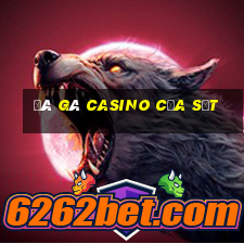 đá gà casino cửa sắt