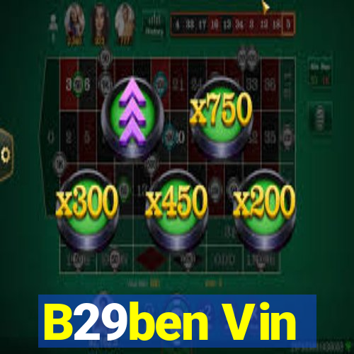 B29ben Vin