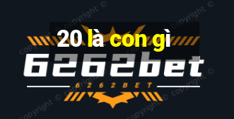 20 là con gì