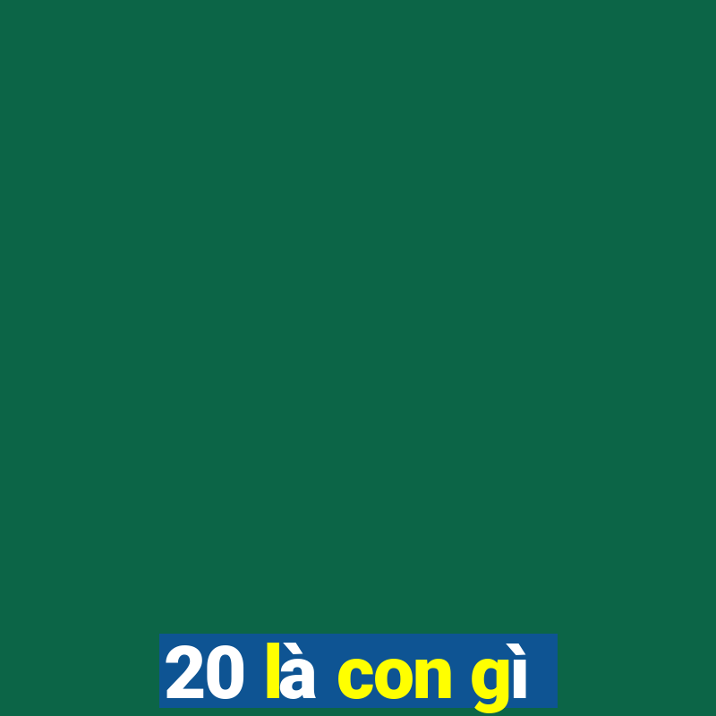 20 là con gì