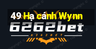 49 Hạ cánh Wynn