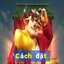 Cách đặt cược XSLD ngày 23